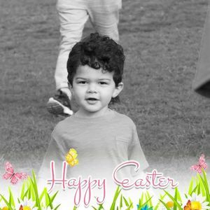 Meet your Posher, Rose